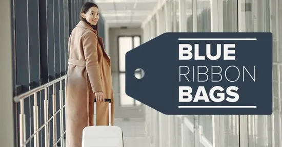 Blue Ribbon Bags Article